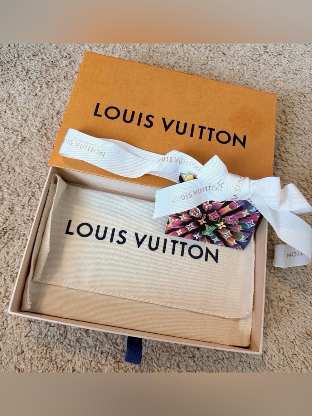 LOUIS VUITTON - Picture 12 of 12